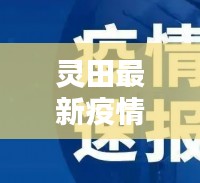 灵田最新疫情通报，今日最新动态关注！