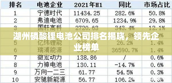 湖州磷酸锂电池公司排名揭晓，领先企业榜单