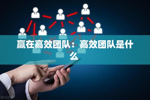 赢在高效团队：高效团队是什么 