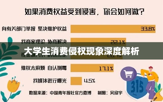 大学生消费侵权现象深度解析