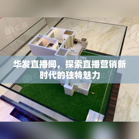 华发直播间，探索直播营销新时代的独特魅力