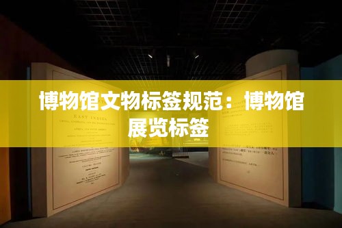 博物馆文物标签规范：博物馆展览标签 