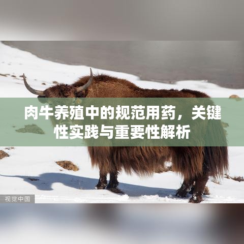 专心致志 第2页
