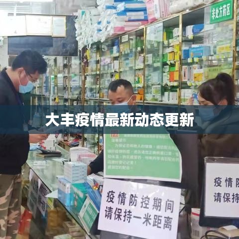 木乾鸟栖 第2页