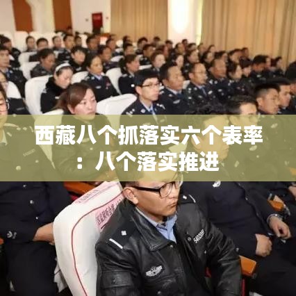 西藏八个抓落实六个表率：八个落实推进 