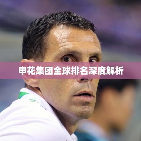申花集团全球排名深度解析