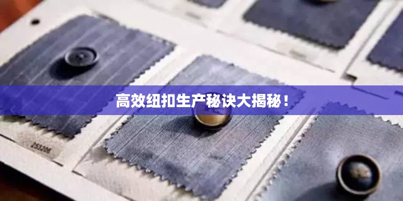 高效纽扣生产秘诀大揭秘！