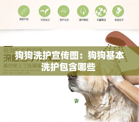 狗狗洗护宣传图：狗狗基本洗护包含哪些 