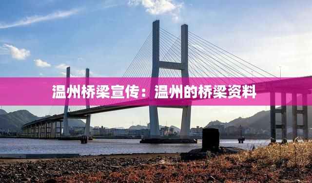 温州桥梁宣传：温州的桥梁资料 