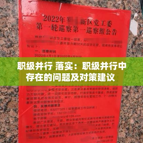 职级并行 落实：职级并行中存在的问题及对策建议 