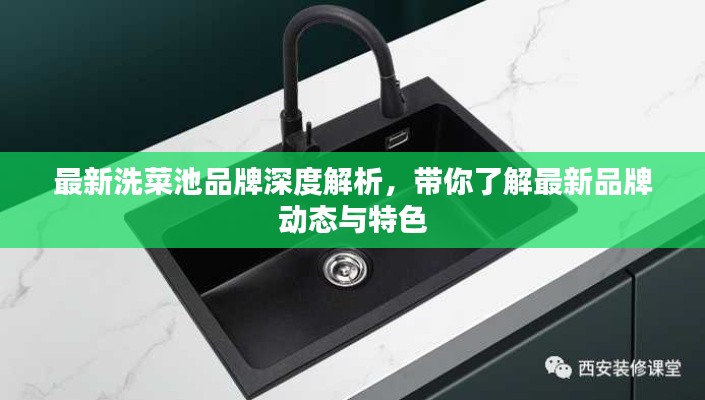 最新洗菜池品牌深度解析，带你了解最新品牌动态与特色