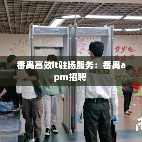 番禺高效it驻场服务：番禺apm招聘 