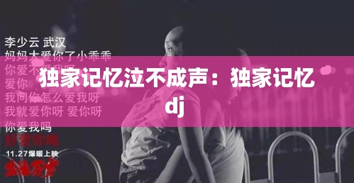 独家记忆泣不成声：独家记忆dj 