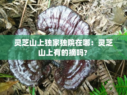 灵芝山上独家独院在哪：灵芝山上有的摘吗? 