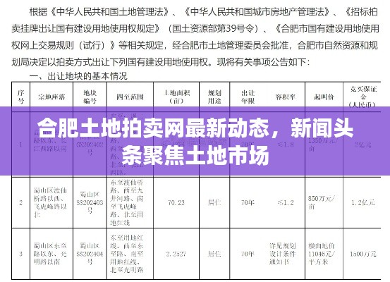 合肥土地拍卖网最新动态，新闻头条聚焦土地市场