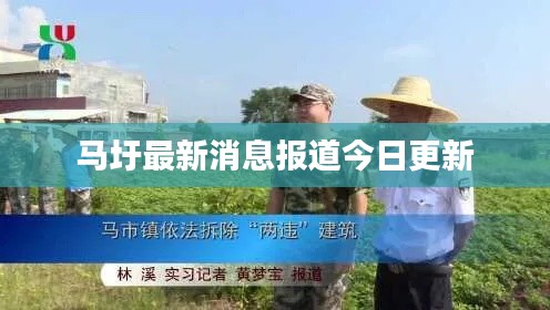 马圩最新消息报道今日更新
