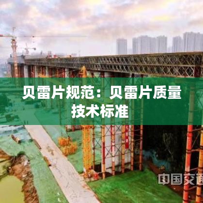 贝雷片规范：贝雷片质量技术标准 