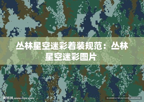 丛林星空迷彩着装规范：丛林星空迷彩图片 