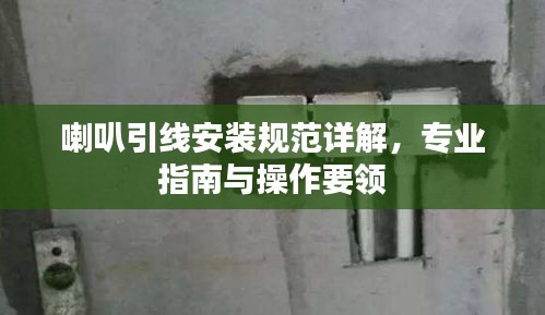 喇叭引线安装规范详解，专业指南与操作要领