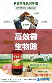 反朴归真 第2页