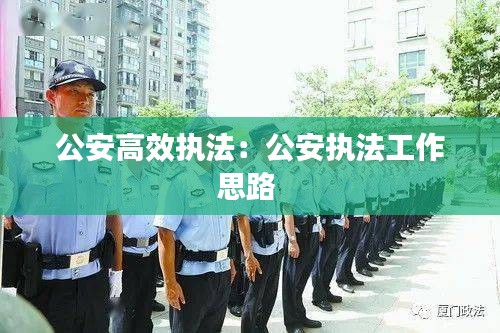 公安高效执法：公安执法工作思路 