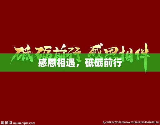 感恩相遇，砥砺前行