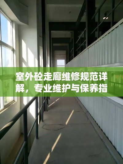 笼鸟槛猿 第2页