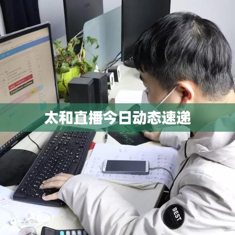 太和直播今日动态速递