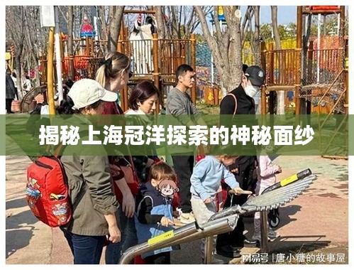 揭秘上海冠洋探索的神秘面纱