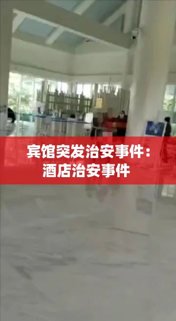 宾馆突发治安事件：酒店治安事件 