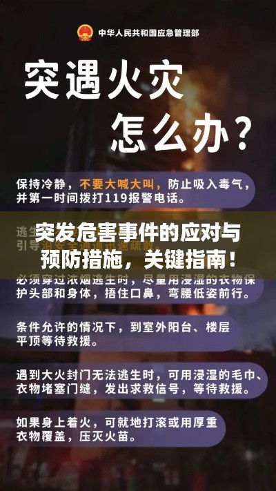 飞箭如蝗 第2页