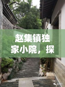 赵集镇独家小院，探秘古镇上的私密居所
