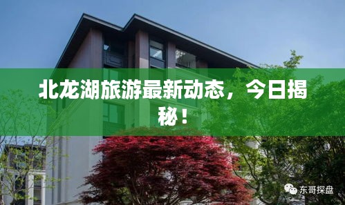北龙湖旅游最新动态，今日揭秘！