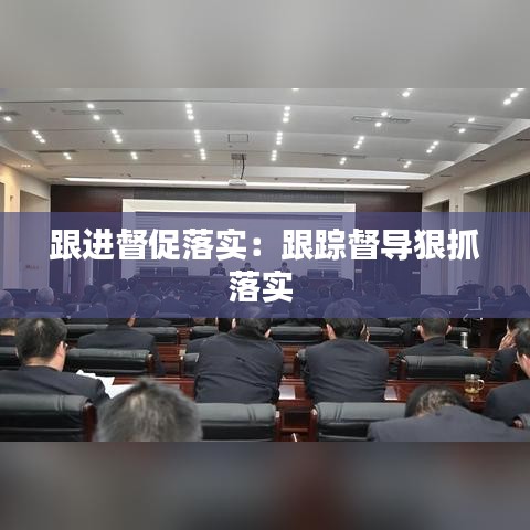 跟进督促落实：跟踪督导狠抓落实 