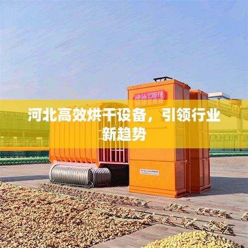河北高效烘干设备，引领行业新趋势