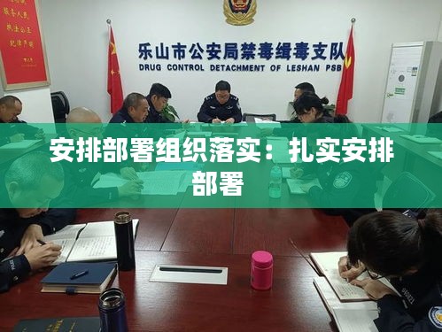 安排部署组织落实：扎实安排部署 