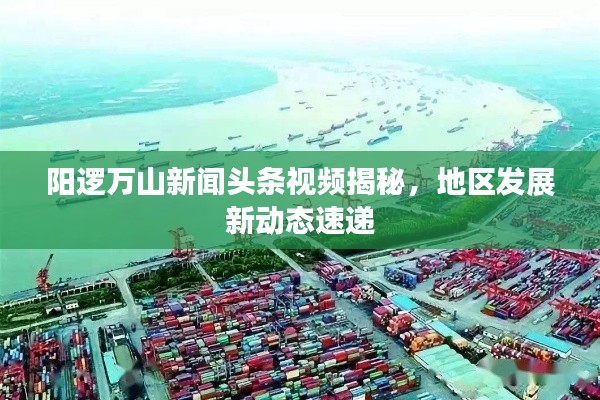阳逻万山新闻头条视频揭秘，地区发展新动态速递