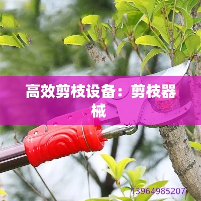 高效剪枝设备：剪枝器械 