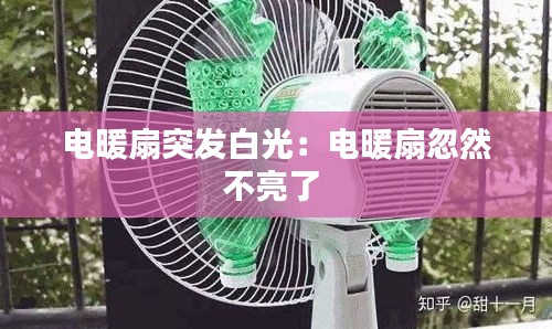 电暖扇突发白光：电暖扇忽然不亮了 