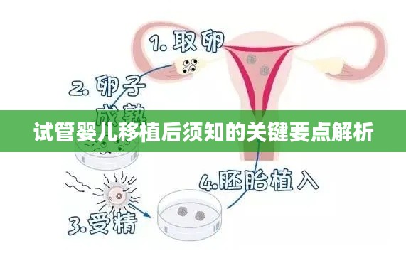 试管婴儿移植后须知的关键要点解析