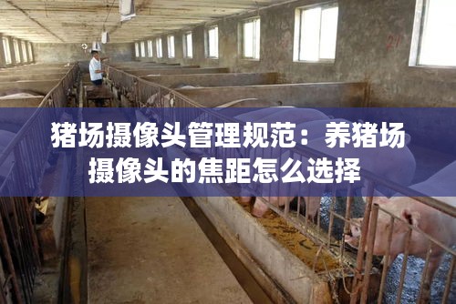 猪场摄像头管理规范：养猪场摄像头的焦距怎么选择 