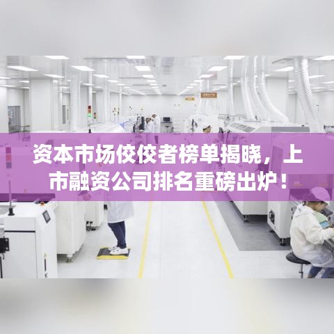 资本市场佼佼者榜单揭晓，上市融资公司排名重磅出炉！