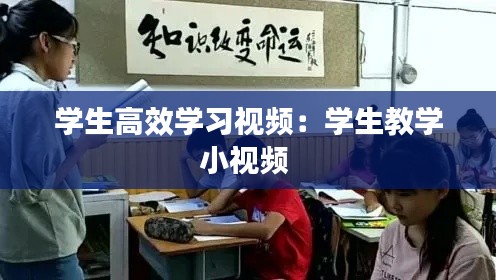 学生高效学习视频：学生教学小视频 