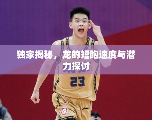 独家揭秘，龙的短跑速度与潜力探讨