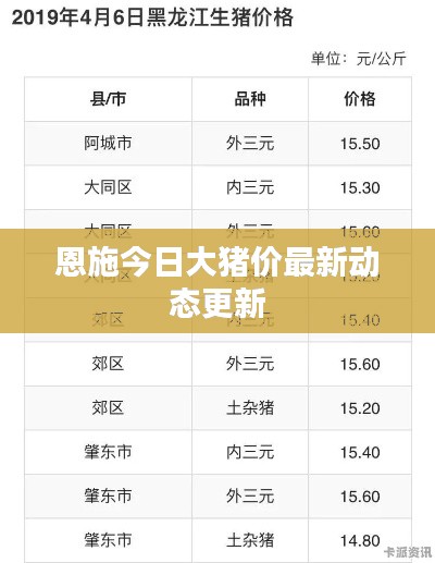 恩施今日大猪价最新动态更新