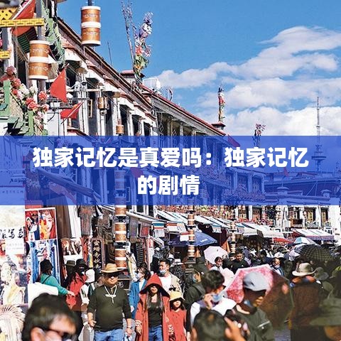 独家记忆是真爱吗：独家记忆的剧情 