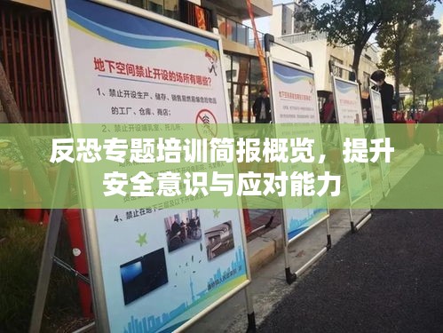 反恐专题培训简报概览，提升安全意识与应对能力