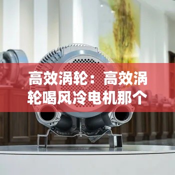 高效涡轮：高效涡轮喝风冷电机那个好 