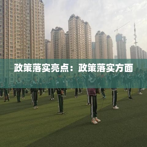 政策落实亮点：政策落实方面 