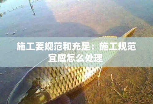 施工要规范和充足：施工规范宜应怎么处理 